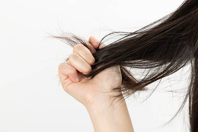 물기를 어느 정도 제거한 머리에 트리트먼트를 바르고 약 2분 기다려야 트리트먼트 효과를 제대로 볼 수 있다./사진=클립아트코리아