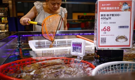 일본이 후쿠시마 제1원자력발전소 오염수(일본 정부 명칭 '처리수')의 해양 방류를 시작한 지난 8월 24일 중국 베이징의 대형마트에서 한 여성이 수산물을 보고 있다. EPA=연합뉴스