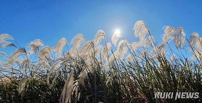 하늘공원에서 마주한 “은빛 억새”지난 2002년 월드컵축구대회를 기념해 개원한 하늘공원은 난지도 쓰레기매립장을 복원한 생태공원이다. 전체적인 형태는 정사각형으로 억새 식재지·순초지·암석원·혼생초지·해바라기 식재지 등 계절별, 테마별로 구성되어 있다.