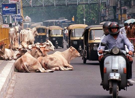 온라인 커뮤니티