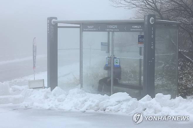 제주도 산지에 대설경보 (제주=연합뉴스) 박지호 기자 = 제주도 산지에 대설경보가 발효된 17일 오전 한라산 1100고지 버스정류소에 눈이 쌓여 있다. 2023.11.17 jihopark@yna.co.kr