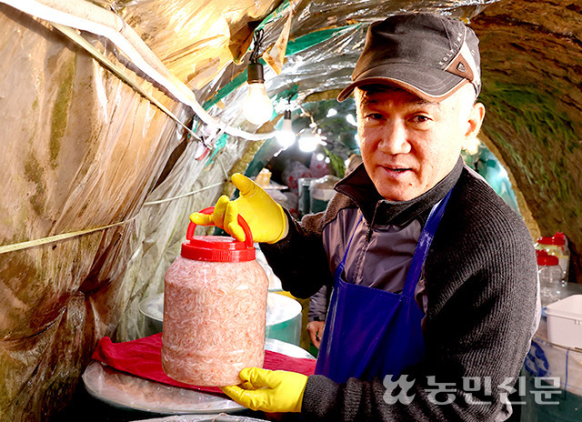 허니 신광상회 대표는 아버지를 이어 2대째 토굴 새우젓을 판매한다. 토굴에서 새우젓을 보여주는 허 대표.