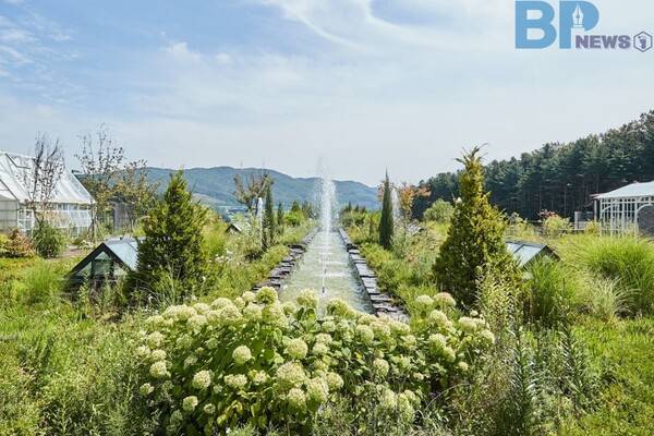 출처: 티하우스 에덴 홈페이지 (식물원 카페)