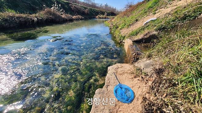 지난 20일 경기 이천시 죽당천의 하천변에 사람들이 두고 간 채집망이 놓여 있다. 김태희기자