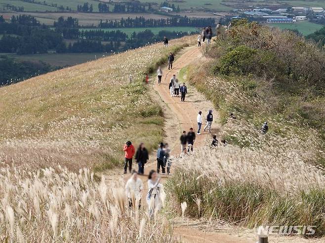 [제주=뉴시스] 오영재 기자 = 한라산에 첫 눈이 관측되는 등 쌀쌀한 날씨를 보인 지난 12일 오전 제주 새별오름에서 등산객들이 즐거운 시간을 보내고 있다. 2023.11.12. oyj4343@newsis.com