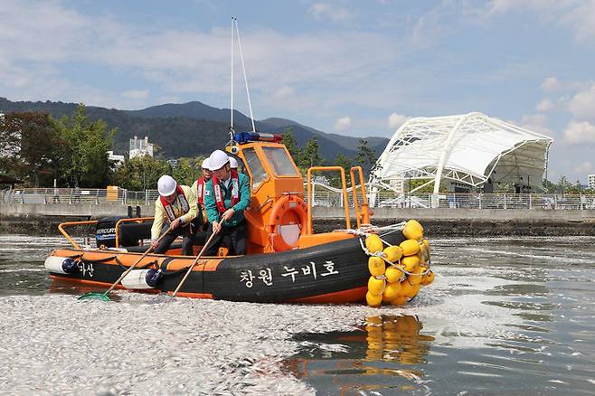 [창원=뉴시스] 강경국 기자 = 경남 창원시 마산항에서 지난 11일 정어리 집단폐사가 발생해 폐사체를 수거하고 있다. (사진=창원시청 제공). 2023.10.20. photo@newsis.com *재판매 및 DB 금지