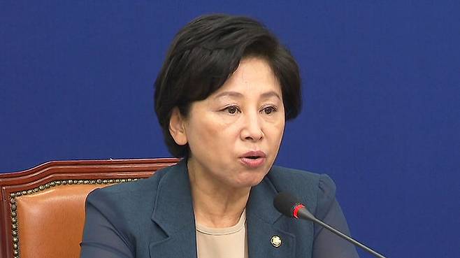 남인순 정개특위 위원장