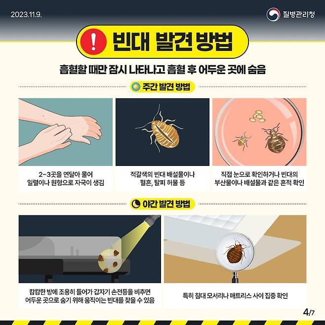 빈대 발견 방법 [삼척시 제공.재판매 및 DB 금지]