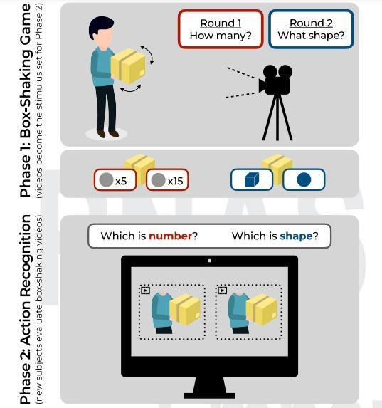 상자 흔들기 실험  (위) 상자를 흔드는 것만으로 상자 내용물(물건의 개수나 모양)을 알아내려고 시도하는 장면을 촬영했다. (아래) 사람들에게 위 실험에서 촬영한 동영상을 보여주고 각 영상이 상자 속 물건 개수를 알아보기 위한 것인지 또는 물건 모양을 알아보기 위한 것인지 물었다. [PNAS/Sholei Croom et al. 제공. 재판매 및 DB 금지]