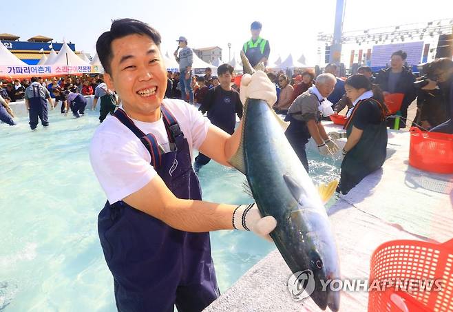 최남단 방어 축제 [연합뉴스 자료 사진]