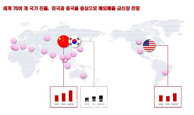 디오의 글로벌 영업망 현황. (제공=디오)