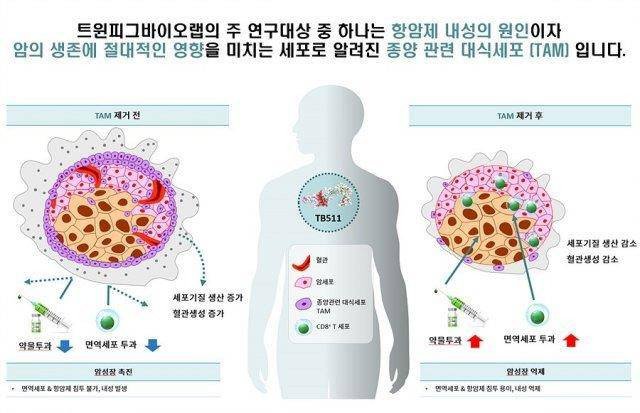 트윈피그바이오랩 TB511의 동작 원리 / 출처=트윈피그바이오랩