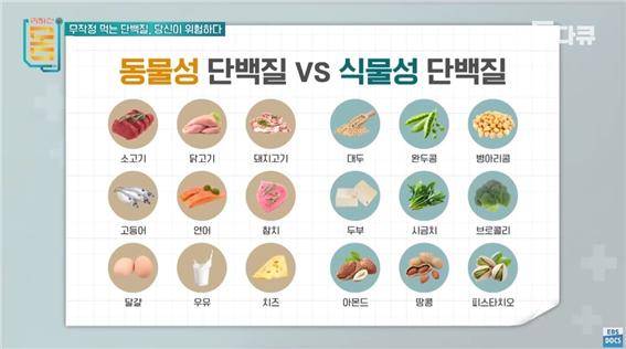 [사진 출처-EBS 다큐]