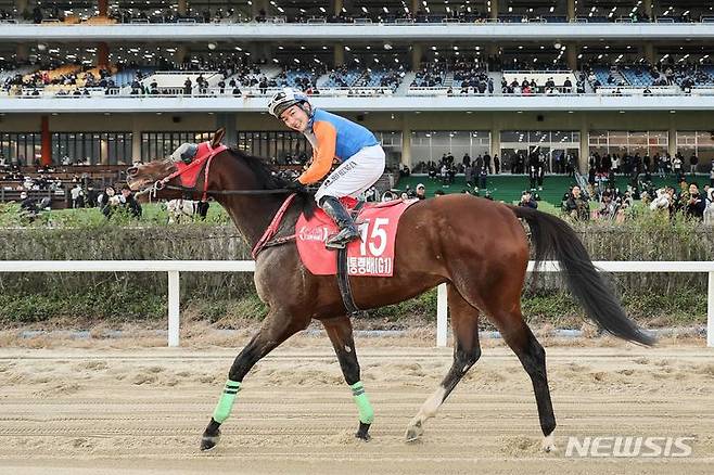 [서울=뉴시스]위너스맨 경주마와 서승운 기수의 세리머니. (사진=한국마사회 제공)