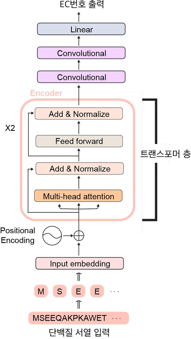 딥 EC 트랜스포머(DeepEC)의 인공 신경망 구조. KAIST 제공