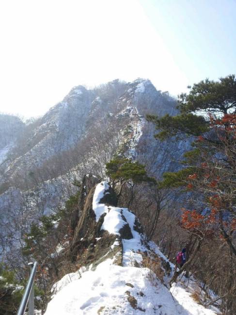 ▲ 계룡산 동학사 자연능선 코스의 급경사 오르막길.