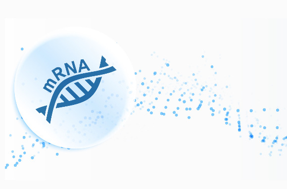 mRNA 플랫폼 기술 확보를 위한 각국의 경쟁이 치열하다. /사진=이미지투데이