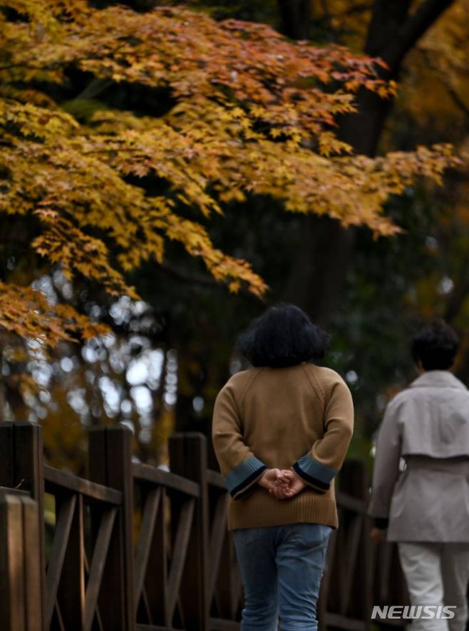 [광주=뉴시스] 이영주 기자 =  23일 오후 광주 남구 사직공원에서 시민들이 늦가을 정취를 만끽하며 산책하고 있다. 2023.11.23. leeyj2578@newsis.com