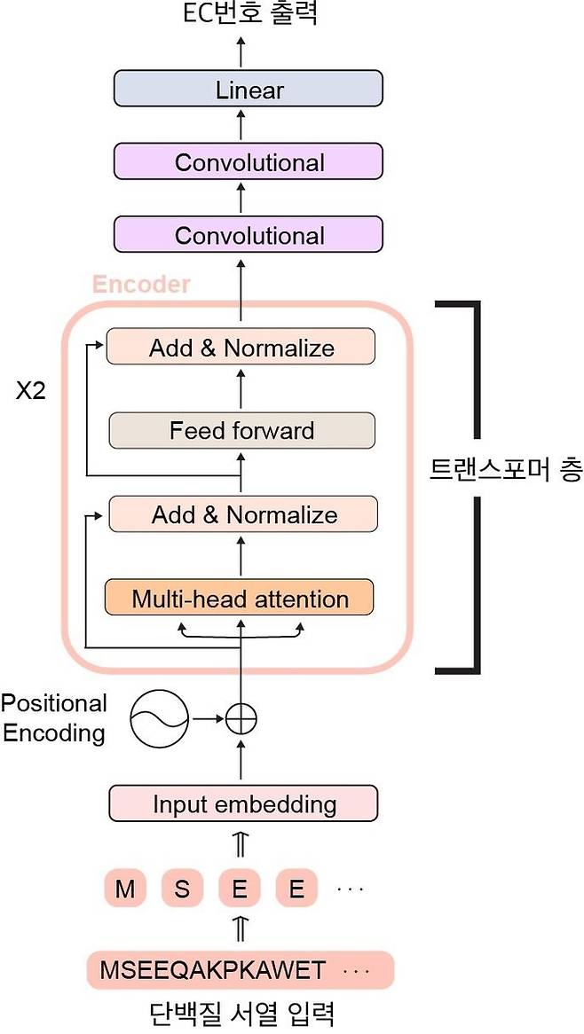 딥 EC 트랜스포머의 인공 신경망 구조 [KAIST 제공. 재판매 및 DB 금지]