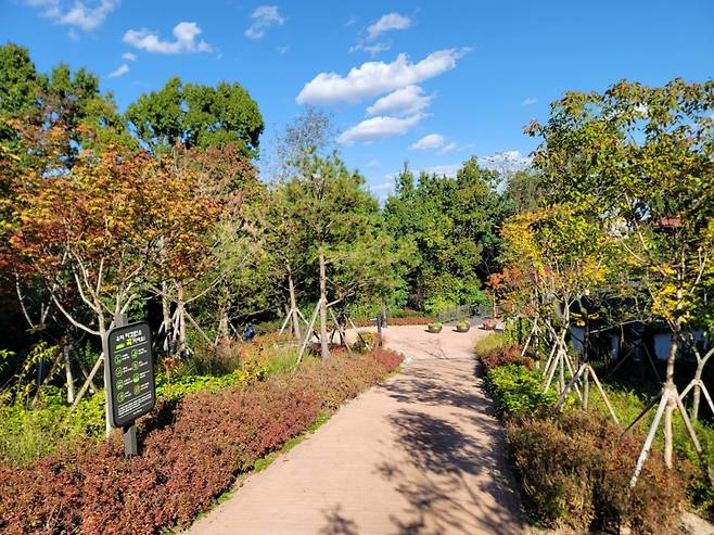 서울 강북구 오동근린공원의 산책로 /사진제공=서울시