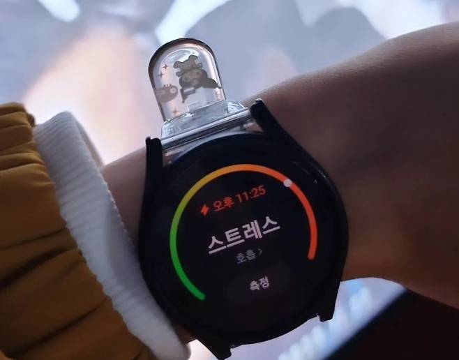 SNS에 올라온 서울의봄 챌린지 인증샷 [인스타그램 캡쳐]