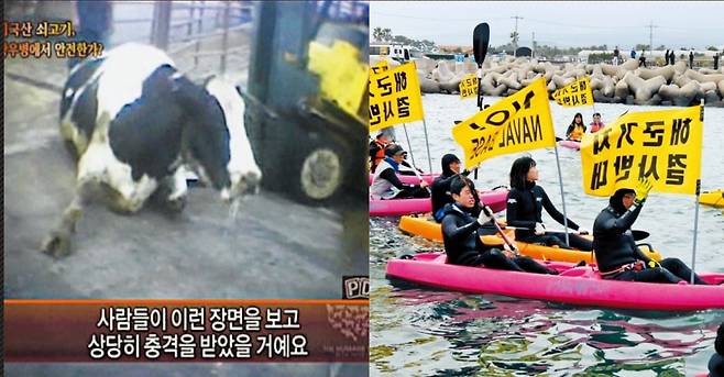 광우병 해군기지 반대 해상시위