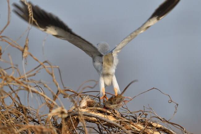 그래도 왠지 불안한지 다시 자리를 뜬다.