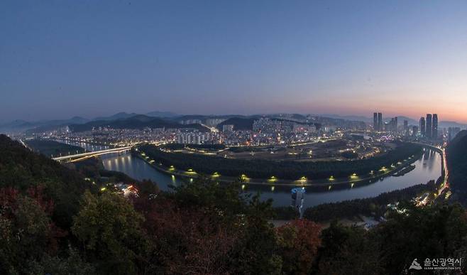 울산 남산 은월봉에서 바라본 태화강 국가정원과 울산 도심 모습. 울산시는 현재 이곳에 민간투자사업으로 100m 높이의 전망타워 및 케이블카 설치사업을 추진하고 있다. 울산시 제공