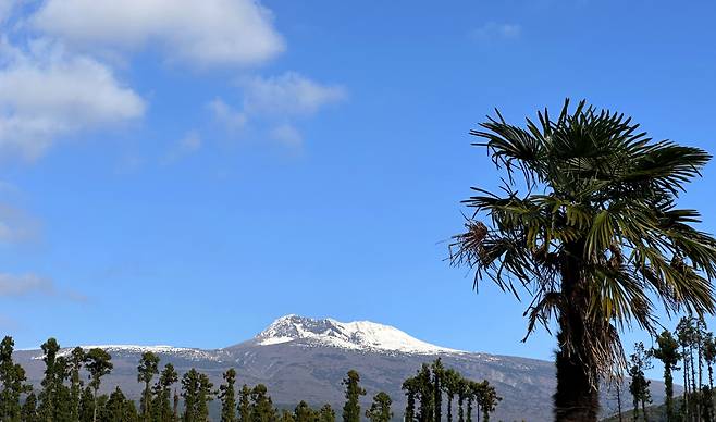 A view from Gogeunsan in Seogwipo, Jeju shows the highlands of Hallasan covered with white snow on Nov. 19. (Yonhap)