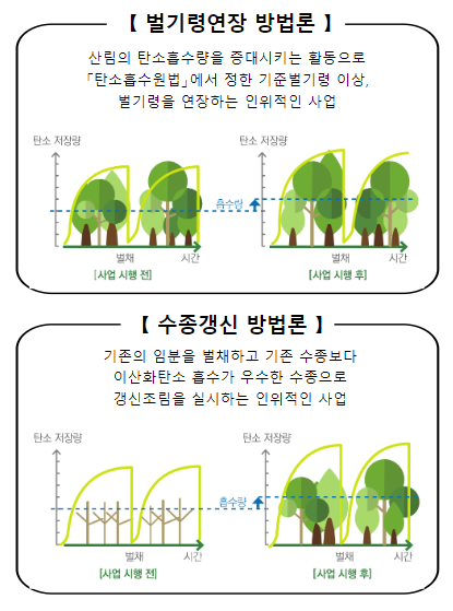 산림탄소상쇄사업 방법으로 벌기령연장과 수종갱신 두 가지가 꼽힌다. 충북도 제공