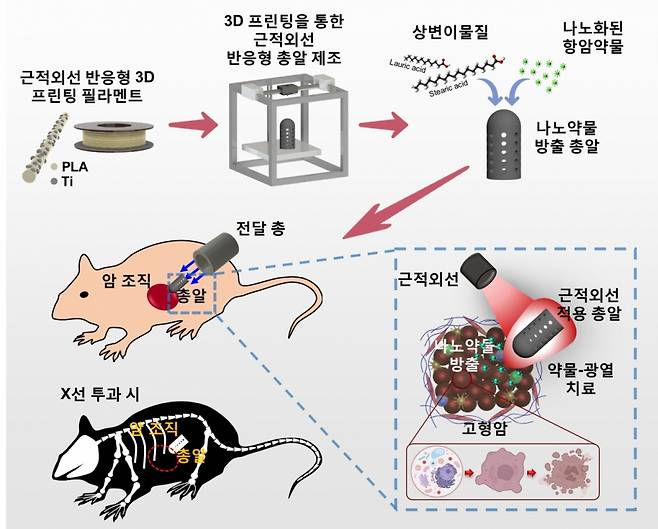 /사진제공=한국연구재단