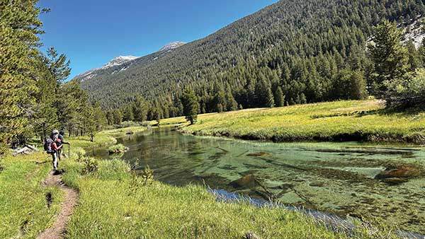투올럼 메도로 향하는 길에는 맑고 투명한 크릭이 흐르고 야생화가 지천이다.