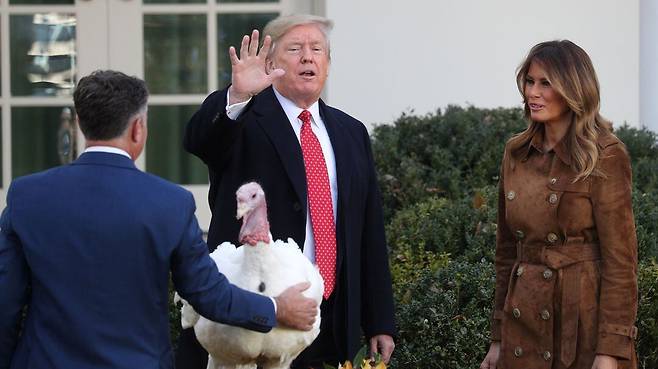 도널드 트럼프 대통령이 지난해 11월 추수감사절 당시 백악관 로즈가든에서 멜라니아 여사와 함께 추수감사절 맞이 칠면조 사면식을 여는 모습. 트럼프는 퇴임 직전까지 측근과 친인척 등을 대상으로 한 '사면 잔치'를 열 계획이며, 자기 자신에 대한 '셀프 사면'까지 추진한 것으로 알려져 비판 받고 있다. /로이터 연합뉴스