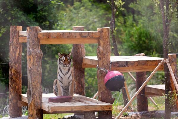 출처: 국립백두대간수목원 갤러리 (국립수목원 여행)