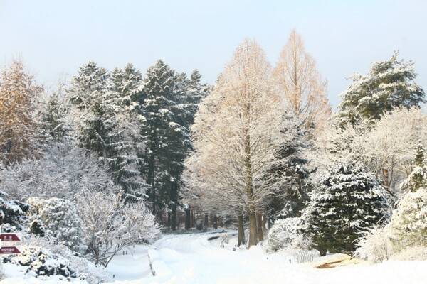 사진출처 : 경기관광누리집(ggtour.or.kr)