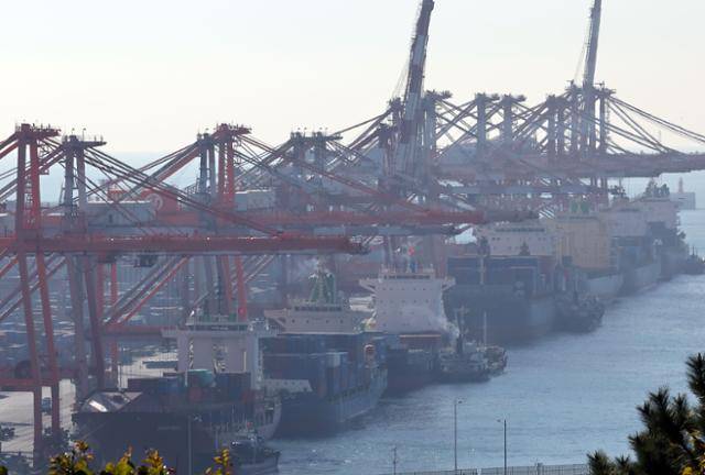 지난달 21일 부산 남구 신선대부두에서 컨테이너 선적 및 하역작업이 진행되고 있다. 뉴시스