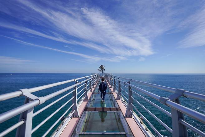 발아래로 푸른 바다가 훤히 내려다보이는 울진 등기산스카이워크의 강화유리 구간은 57m에 달한다. 사진제공|권다현(여행작가)