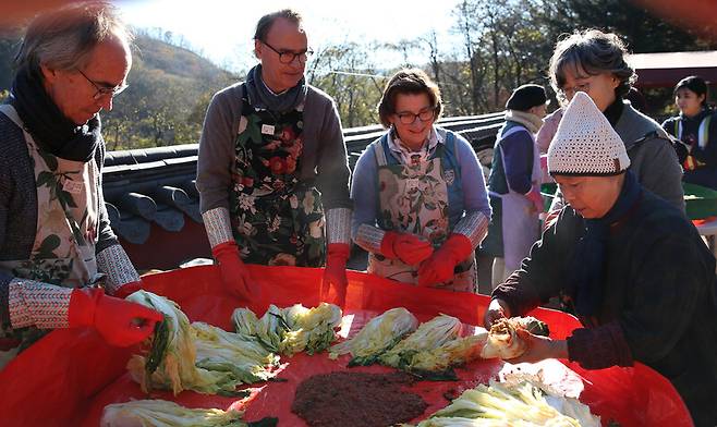 정관 스님의 팬이라고 밝힌 이탈리아와 프랑스에서 온 외국인들이 지난달 20일 전남 장성군 천진암에서 정관 스님과 함께 김장을 하고 있다. 박미향 기자