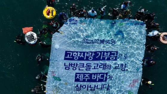 지난달 4일 남방큰돌고래가 자주 출몰하는 서귀포시 대정읍 영락리 앞바다에서 전문 다이버 50명이 바닷속 해양쓰레기를 수거하는 ‘플로빙(플로깅과 다이빙의 합성어)’을 진행했다. 사진 제주도