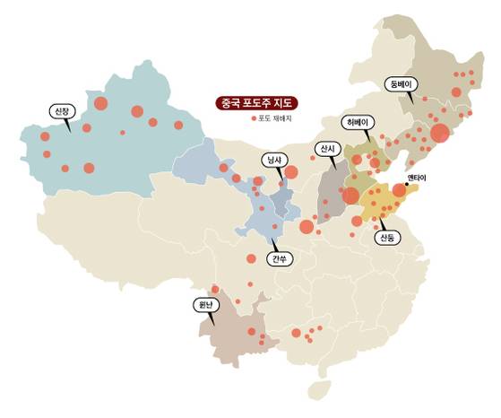 그래픽=남미가 기자 nam.miga@joongang.co.kr
