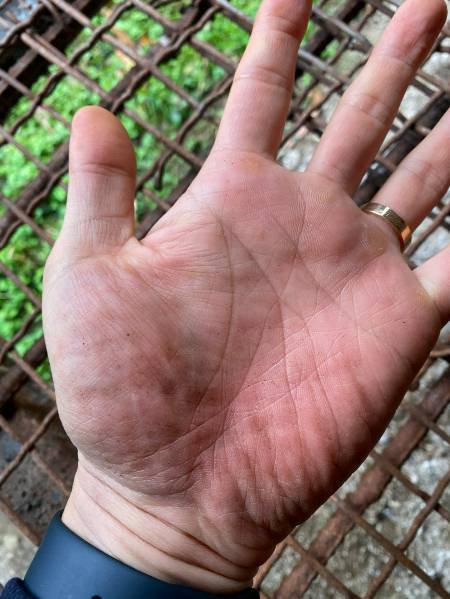 개농장 개들처럼 두 발과 두 손으로 걸어보니, 손에 뜬장 철창 자국이 고스란히 남았다. 얼마 걷지 않았음에도. 검게 묻은 때 자국이, 여길 이미 살다 떠난 개들의 흔적이라 믿었다./사진=남형도 기자