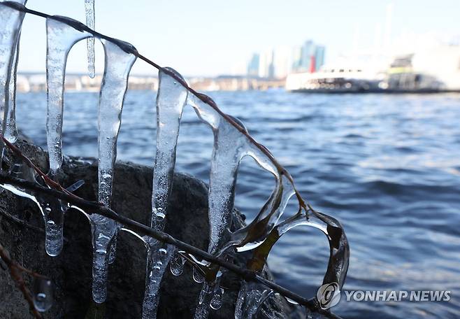 한강에 만들어진 고드름 [연합뉴스 자료사진]