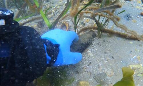 바닷속에 가라앉은 쓰레기 [환동해특수대응단 박두철 소방장 제공. 재판매 및 DB 금지]