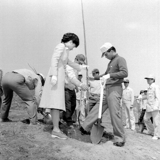 박정희 대통령이 맏딸 근혜 양과 함께 1977년 4월 경기 의왕시 일대에서 식목일 기념식수를 하고 있다. [산림청]