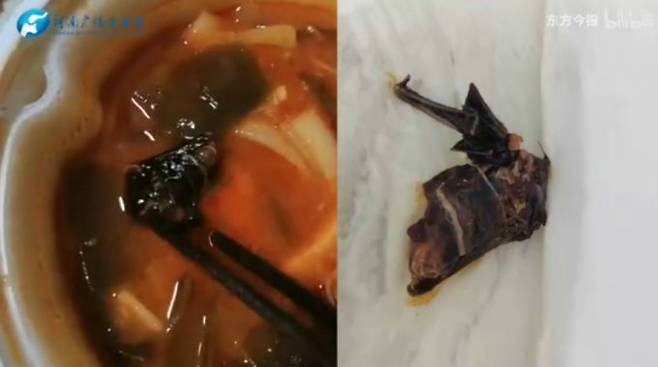 중국 유명 식당의 레토르트 마라탕에서 박쥐 날개로 추정되는 이물질이 나왔다. /사진=빌리빌리 캡처