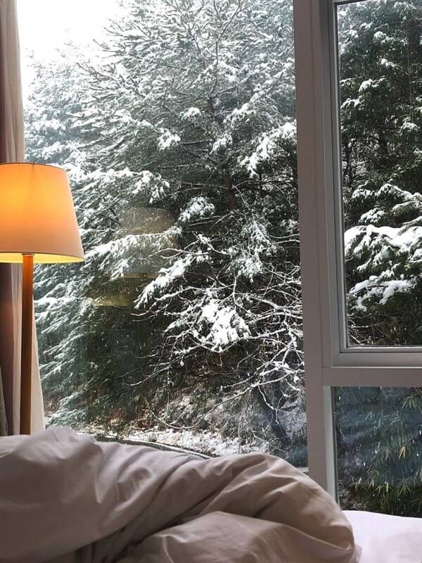 온라인 커뮤니티