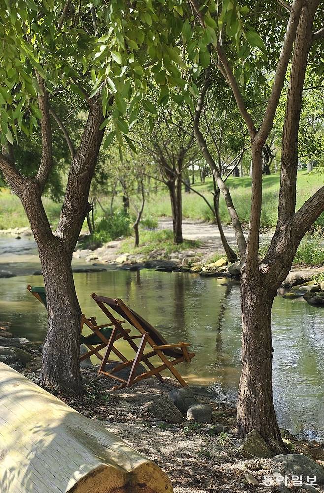 순천만국가정원 물가에 놓인 의자들. 시민들의 휴식처로 사랑받는다. 순천=김선미 기자