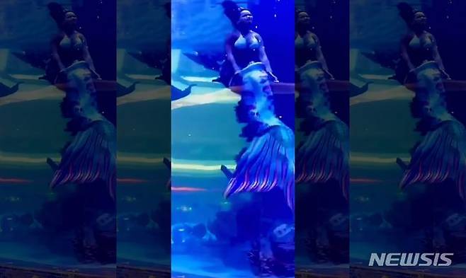 남아프리카공화국에서 인어 복장으로 공연을 펼치던 여성이 인어 꼬리 옷이 산호에 걸려 큰 사고가 날 뻔했다. 다행히 그녀는 황급히 꼬리 옷을 벗고 위기를 모면했다. 출처 : @gjjprosper