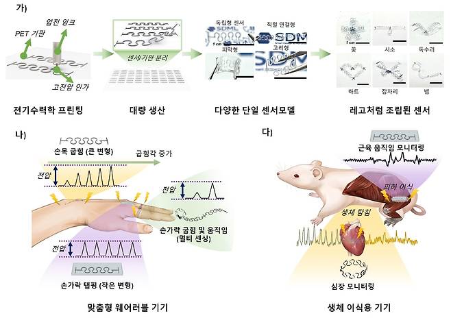 연구성과 이미지 [한국연구재단 제공. 재판매 및 DB 금지]