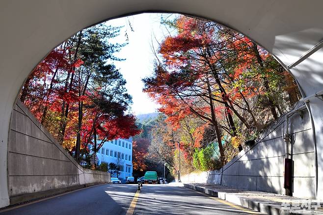 서울중부공원여가센터